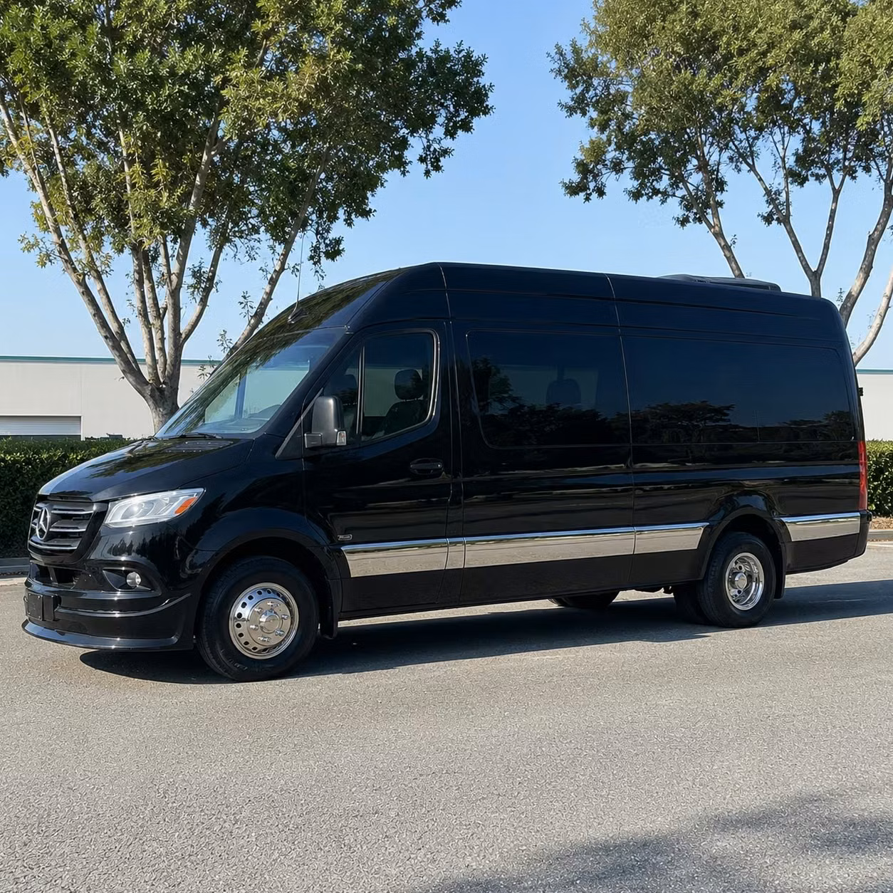 sprinter van with driver